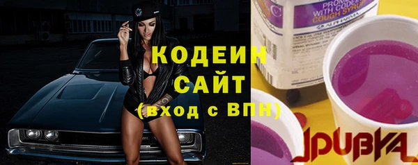 индика Абинск