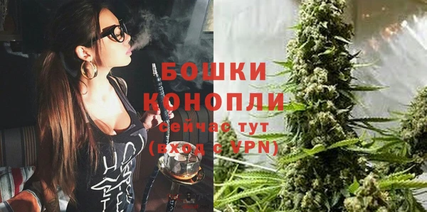 сатива Абдулино