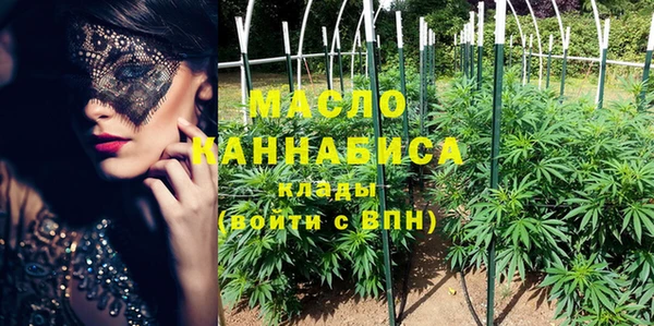 индика Абинск