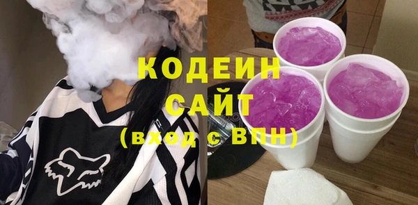 индика Абинск