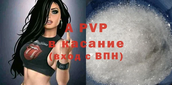 индика Абинск