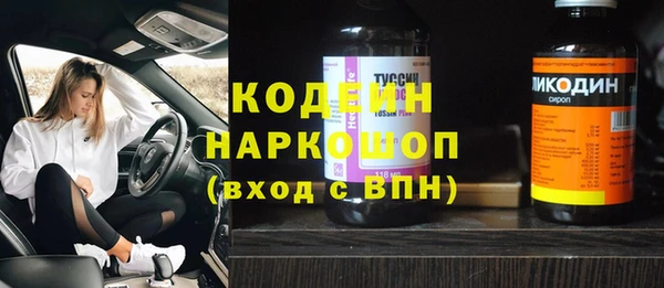 индика Абинск